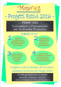 Progetti Estivi -Primi Voli